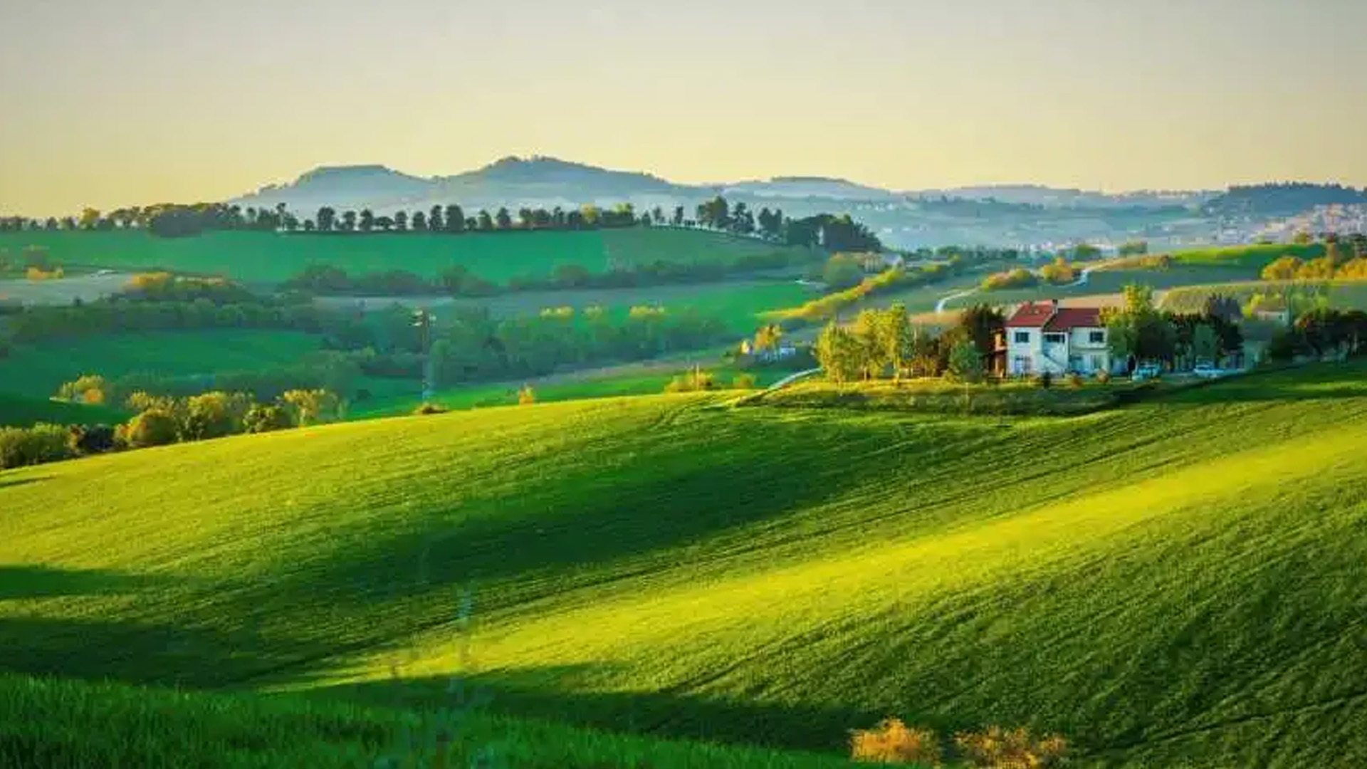 Spring in the hills of Marche