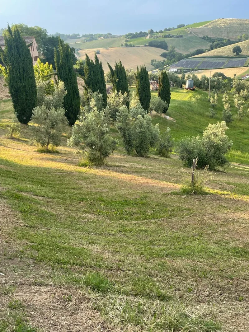 The first oil of the season is going to be produced.