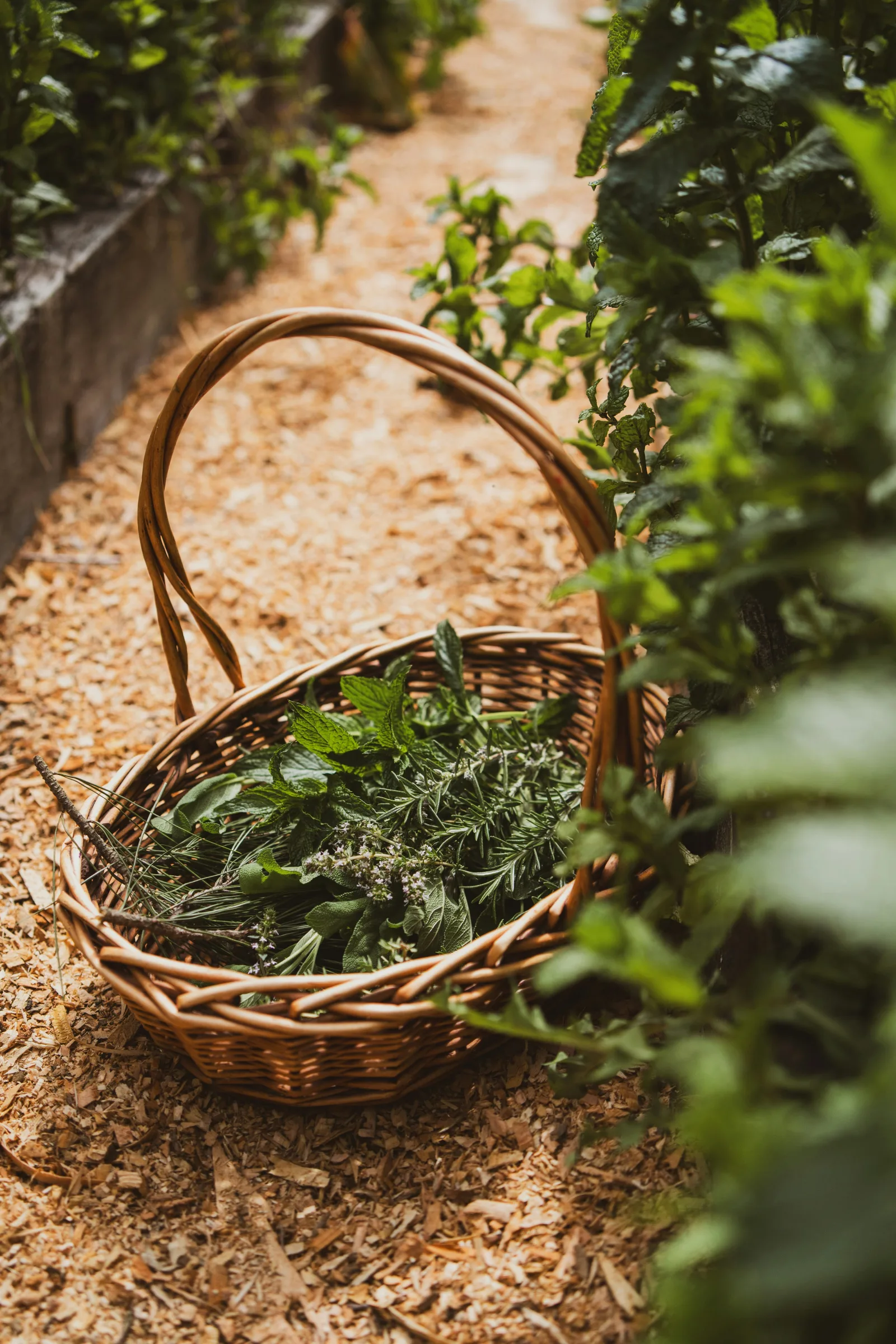 The Mediterranean, grown with knowledge.