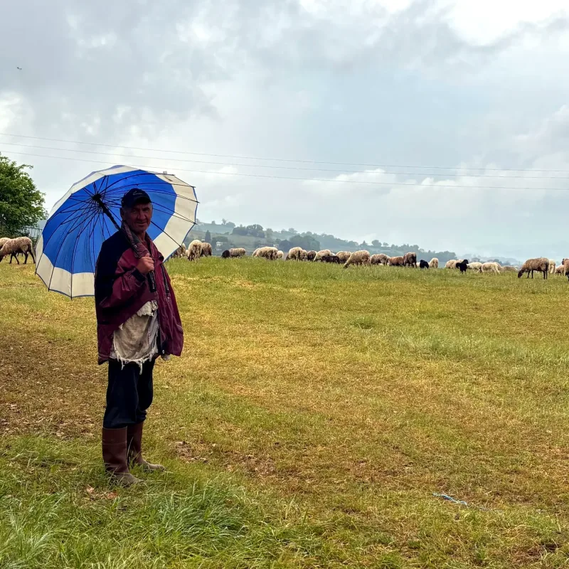 With the flock above the village